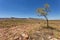 The Ramparts of the Cockburn Range stand high and proud above th