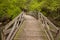 Ramsey Creek Footbridge In Spring