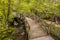 Ramsey Creek Footbridge In Spring