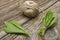 Ramson bear garlic bunch tied with rope on old wooden background.