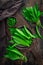 Ramson, wild garlic (allium ursinum) on wooden kitchen table