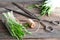 Ramson, wild garlic and sauce pesto on a wooden table