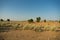 Ranautar, remote desert village inside the desert. Distant horizon, Hot summer with cloudless clear blue sky background, Thar