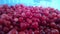 Ð¡ranberry fruit of Vaccinium oxycoccos