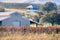 Ranch buildings on the hills of east San Francisco bay, Livermore, California