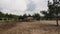 A ranch corral where horses drinking water from a well pass. Beautiful animals, after training, replenish water supplies