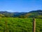 Ranch with cows pasturing, and mountains at the background.