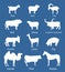 Ranch farm animals collection vector silhouette illustration isolated on blue background.