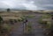 Ranch gates near Mamalahoa highway and Saddle road