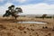 Ranch Landscape Southern Australia