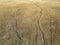 Ranch road and cattle trails - aerial view