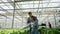 Rancher agronomist man explaining vegetable production to businesswoman