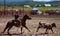 A Rancher competing at a rodeo in colorado