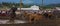 A Rancher competing at a rodeo in colorado