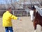 Rancher feeding her horse.