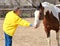 Rancher feeding her horse.