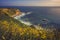 Rancho Palos Verdes Super Bloom