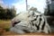 Rancho texas zoo, Lanzarote, Canary Islands. white tiger closeup
