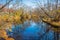 Rancocas Creek Reflections