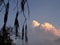 Random capture of a tree at cloudy sky