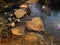 RANDOM CONCRETE SLABS PLACED IN A RIVER AS STEPPING STONES