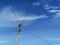 Random electrical wires on a pole. Chaos of cables and wires on an electric pole against the sky