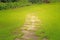 Random pattern of stepping stone walkway on rough green grass lawn in the garden, under sunlight in morning
