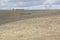 Random Rural Field and Hay Bales, Fleurieu Peninsula