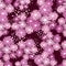 Random seamless pattern with purple and lilac chrysanthemum elements. Maroon background with splashes