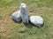 Random stones decoration or `stone stupa` on green field under daylight