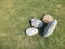 Random stones decoration or `stone stupa` on green field under daylight