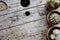 Range of cacti in clay pots on industrial wooden cable drum