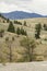 Range land with open forest on ridges, Yellowstone National Park