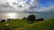 Rangitoto Island from NorthHead