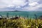 Rangitoto Island, Waitemata Harbor,Auckland City, New Zealand