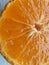 Rangpur lemon, cut in half, full screen, top view, scientific name: Citrus Ã— limonia, fruit of the Rangpur lemon tree,