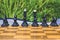 Ranks of black chess side figures on wooden desk background surface with reflection