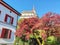 The Rankweil Basilica and a beautiful tree