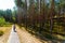 Rannametsa, Estonia. Dunes and bog