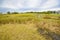 Rannaniidu nature and study trail, Parnu, Estonia