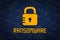 Ransomware encription. Data protection from hacking. Cyber security. Data encryption. Protect information in network and Internet.