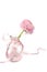 Ranunkeln pink buttercup in glass vase with silk ribbon