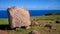 Rapa Nui petroglyph, Easter Island, Chile