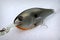 Rapala Risto Rap custom-painted fishing lure plug