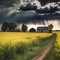 rape field under heavy clouds before thunderstorm