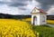 Rapeseed, canola or colza and small white chapel