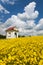 Rapeseed, canola or colza and small white chapel