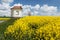 Rapeseed, canola or colza and small white chapel