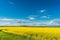 Rapeseed field and blue sky with clouds on a sunny day