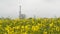 Rapeseed field and communication tower under overcast rain